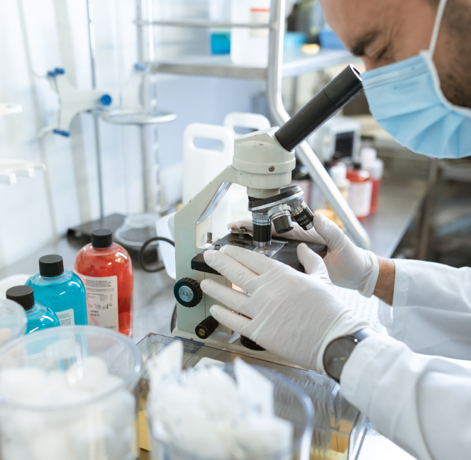 groupe scolaire alamana application